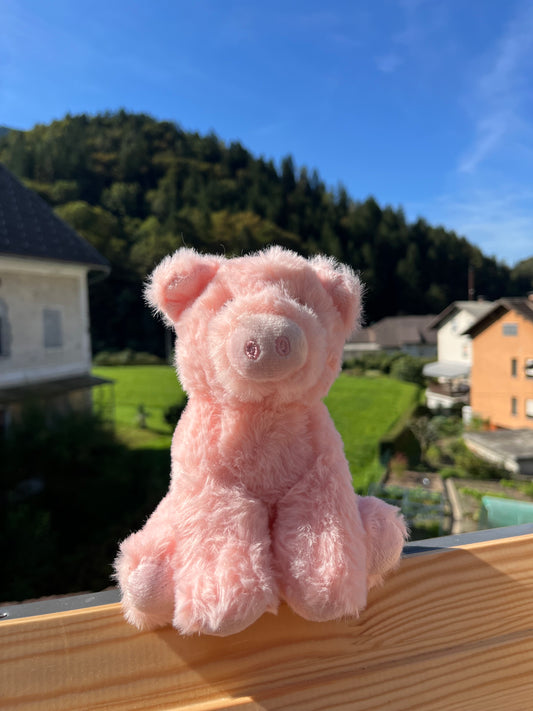 Oinky Plushie